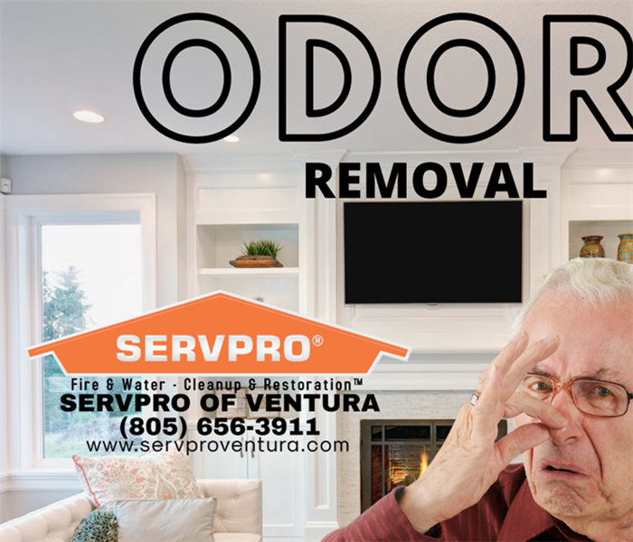 Odor Removal SERVPRO of Ventura - image of man plugging nose