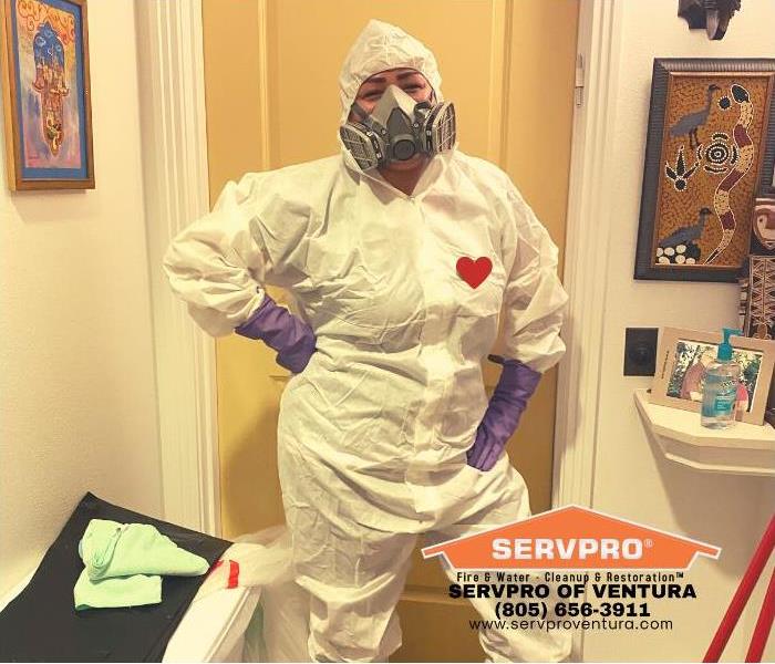 Disinfecting Services in Ventura, California - image of employee in PPE