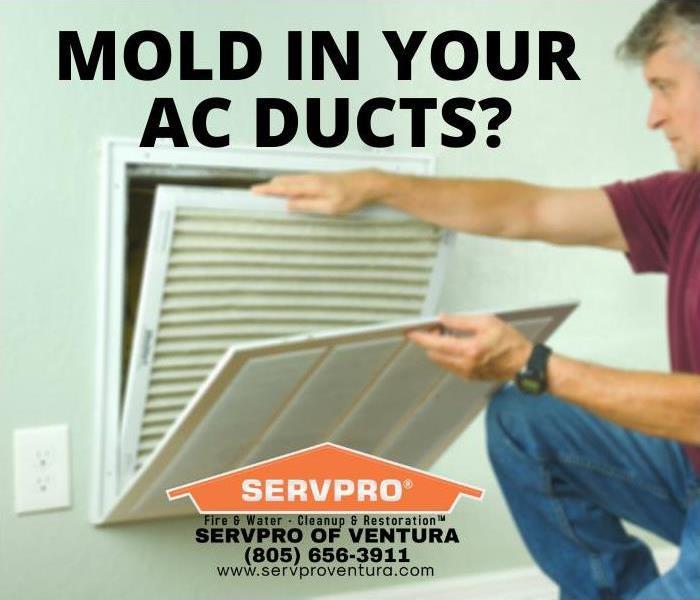 Mold in Ducts