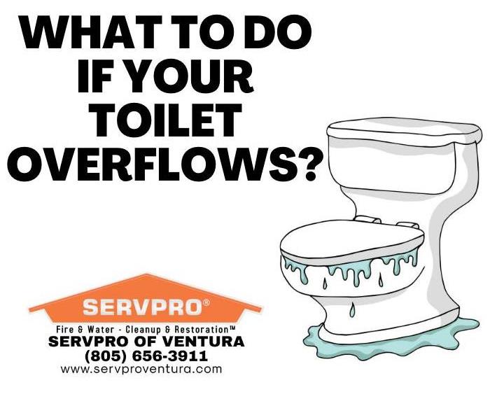 Toilet Overflow Ventura California
