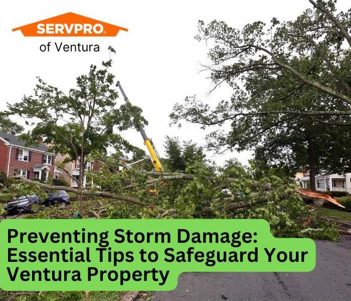 storm damage servpro of ventura