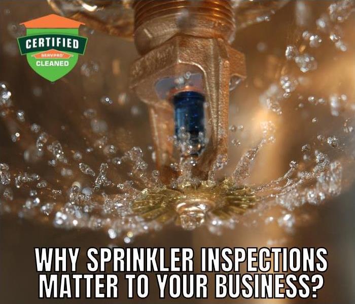 Fire Sprinkler in Business