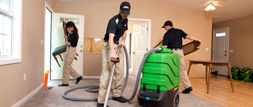 Ventura, CA cleaning services